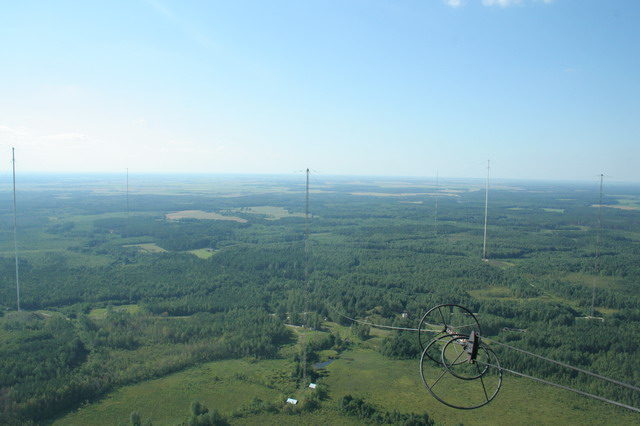 Aerial view over forest of a field of tall masts with a ring fitting on a cable in the foreground